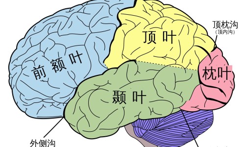 肝癌病人睡觉张嘴呼吸-肝癌病人睡觉张嘴网 - 网站提供肝癌晚期张嘴呼吸目光呆滞小常识、肝癌晚期睡觉张嘴还能活多久